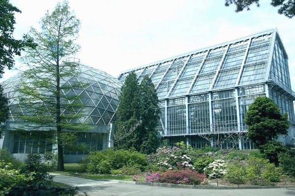 Жителей Киева приглашают присоединиться к субботнику в ботсаду Фомина