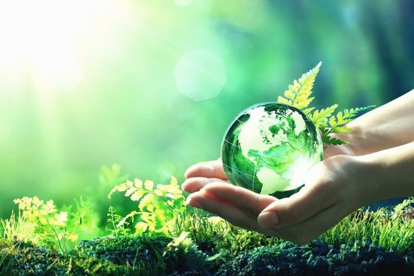 День Земли 2021: Google выпустил новый интерактивный дудл