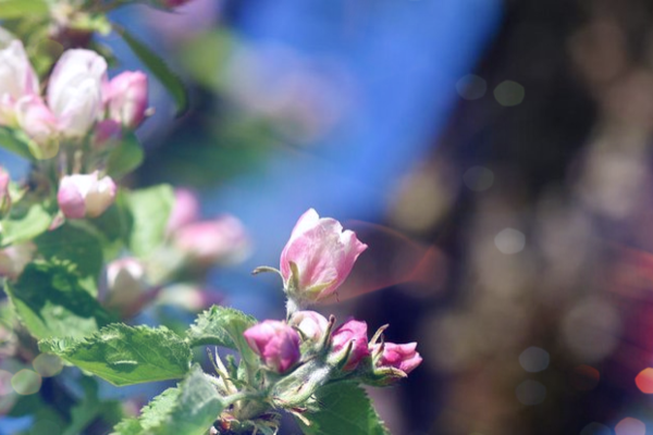 Стало известно, какая погода ждет украинцев в мае и последнюю неделю апреля