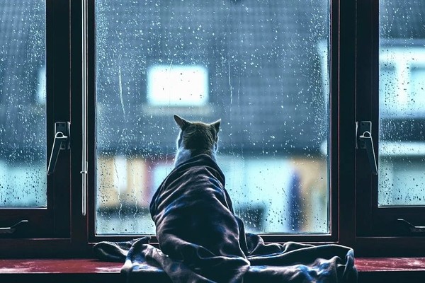 Прогноз погоды в Киеве на неделю: с 26 по 30 апреля 2021 года