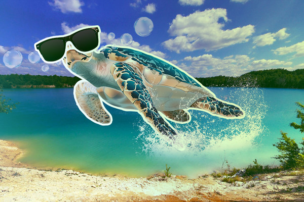 Украинские Мальдивы: как добраться до Черепашинского карьера и к чему готовиться