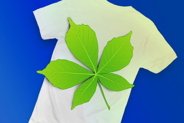 С Киевом в сердце: 7 брендов, которые выпускают вещи с символикой столицы