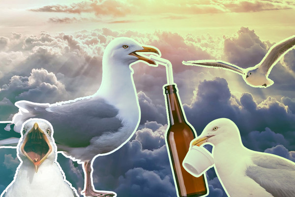 Заведения Киева на крыше: 12 баров на высоте птичьего полета