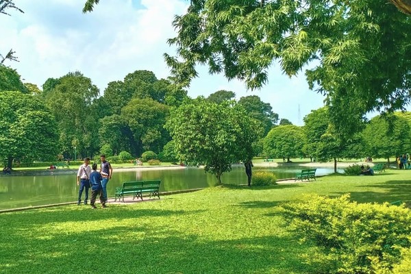 В Киеве хотят создать 28 новых зеленых зон: адреса