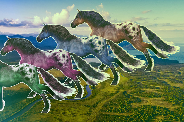 Заповедники Украины: 8 мест с уникальными пейзажами и реликтовыми местами