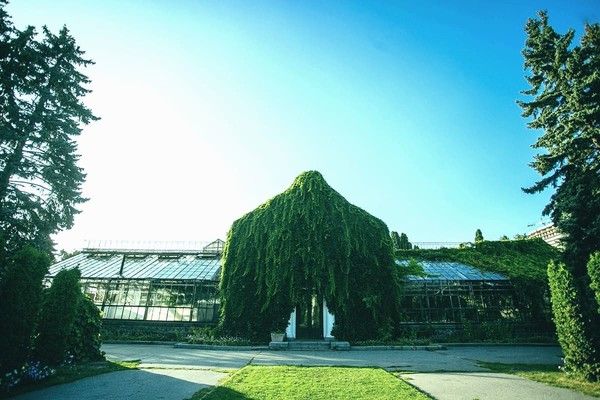 В Киеве на ВДНГ завершили реконструкцию оранжереи