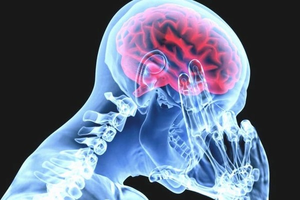 Житель США удалил себе часть мозга и перестал испытывать страх