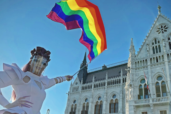 Венгрия приняла закон о запрете пропаганды ЛГБТ почему пострадать