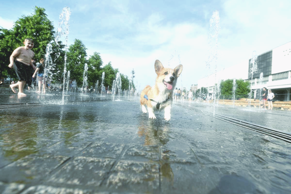 В июле синоптики прогнозируют в Украине новый температурный рекорд