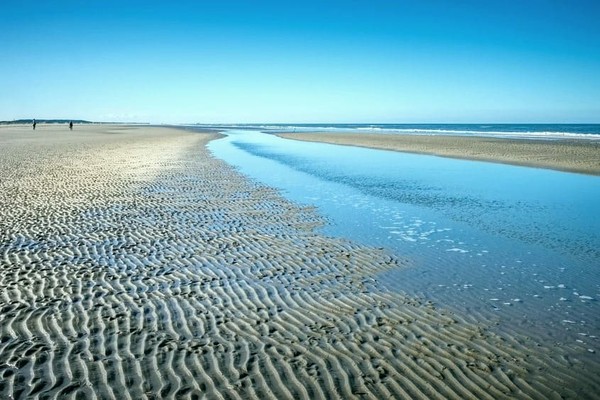 Ваттовое море: Google выпустил свой новый анимационный дудл