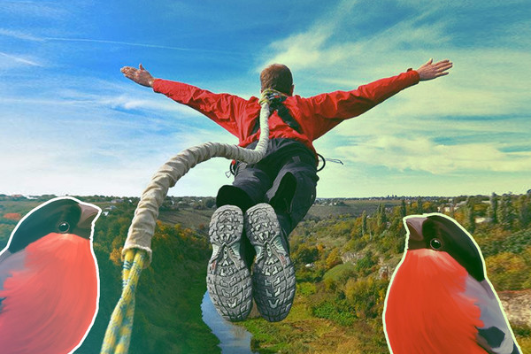 Где можно прыгнуть с моста в Киеве: роуп-джампинг и банджи джампин