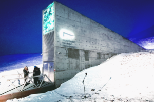 На арктическом острове построят первое музыкальное хранилище Судного дня 