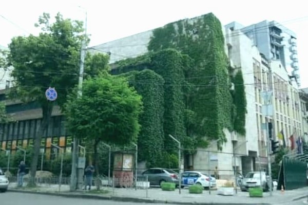 Как может выглядеть здание 