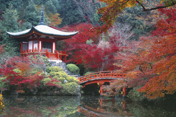 В одном из городов Японии появится украинский уголок с каштанами и памятным знаком