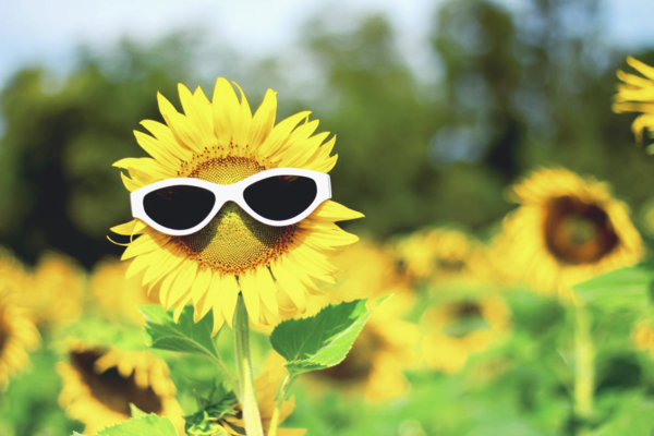 Синоптики прогнозирует возвращение в Украину сильной жары 