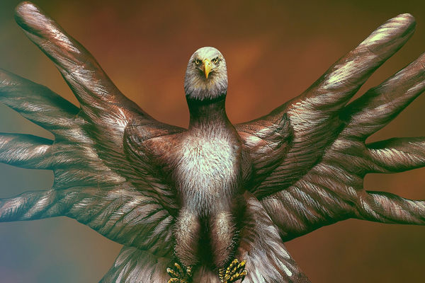 Необычные хобби мира и как разнообразить свой досуг