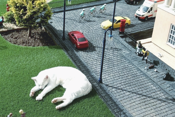 Кот заснул в английском парке и за один день стал самым популярным  мемом