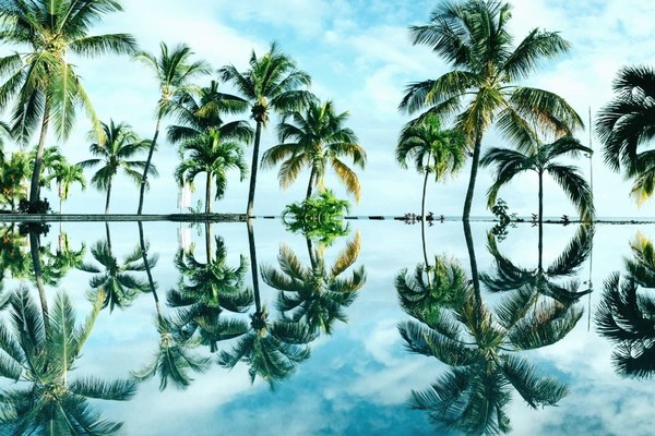 Украина и Маврикий договорились о безвизовом режиме