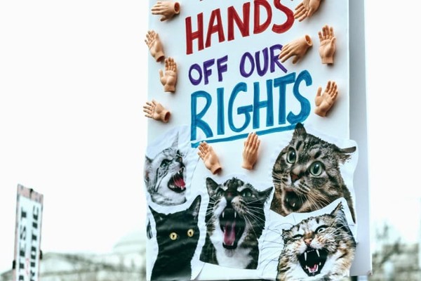 В центре Киева проведут Всеукраинский марш за животных-2021