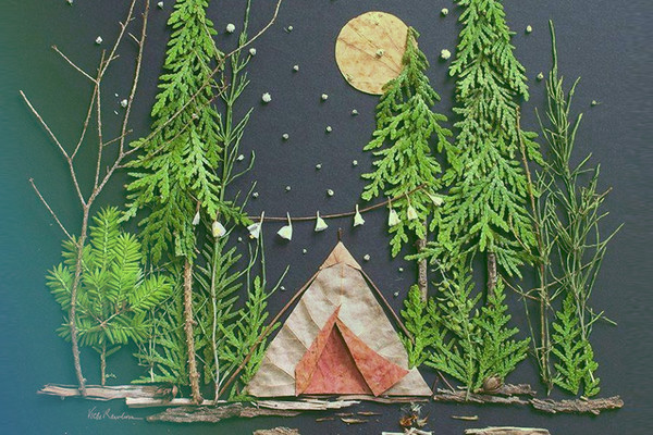 Отдых на природе с комфортом: 7 глемпингов в разных уголках Украины