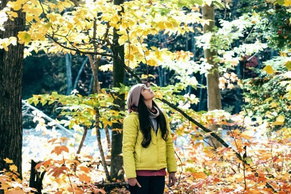 Синоптики дали прогноз погоды на сентябрь 2021 года в Украине