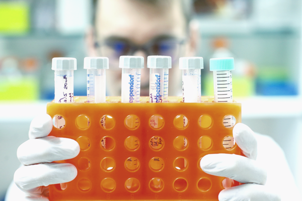 В Киеве разоблачили схему подделки ПЦР-тестов и справок о вакцинации