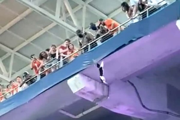 В США футбольные болельщики спасли падающего кота (видео)