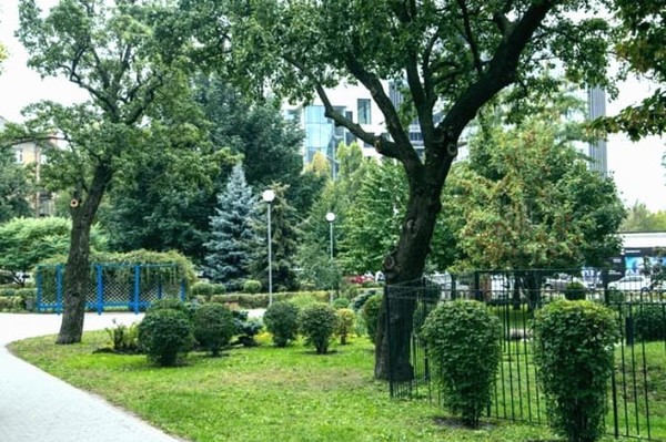 В восьми районах Киева появятся 14 новых зеленых зон: адреса