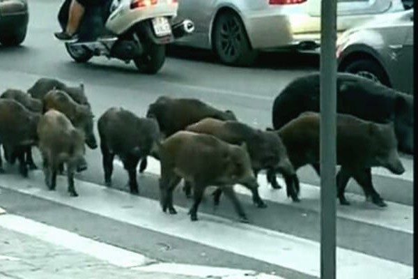 Столицу Италии 