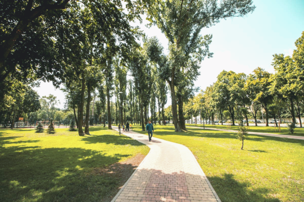 В Киеве появятся новые парки и скверы: где и когда