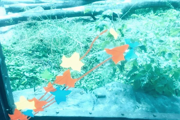 В Киевском зоопарке треснутое стекло в вольере с медведями заклеили аппликацией (фото)