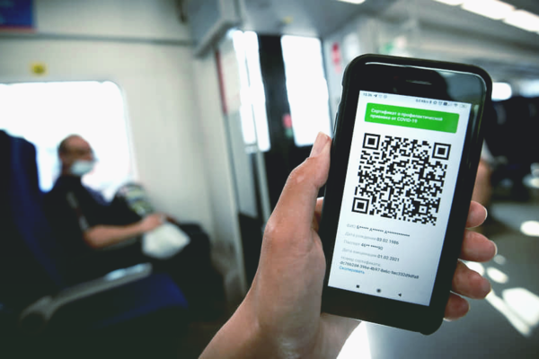 Какие новые профессии создала пандемия коронавируса: онлайн-няни 