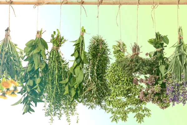 10 украинских брендов натуральной косметики: обзор с ценами