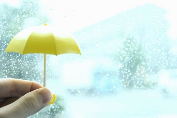 Прогноз погоды в Киеве на выходные 6 и 7 ноября 2021 года