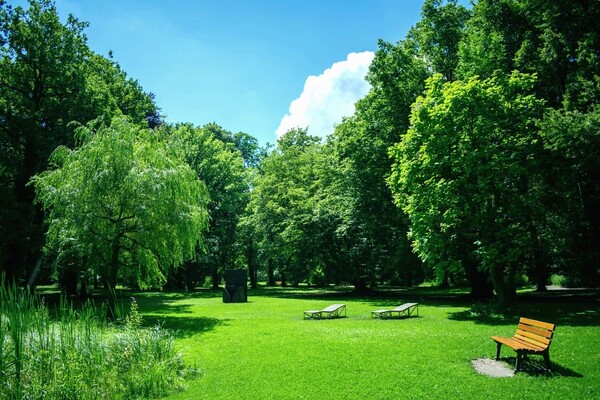 В пяти районах Киева появятся 10 новых зеленых зон: адреса