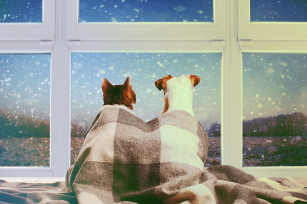 Теплые террасы ресторанов Киева: где посидеть в холодное время года