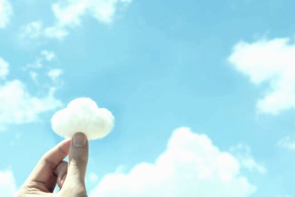 Прогноз погоды в Киеве на выходные 13 и 14 ноября 2021 года