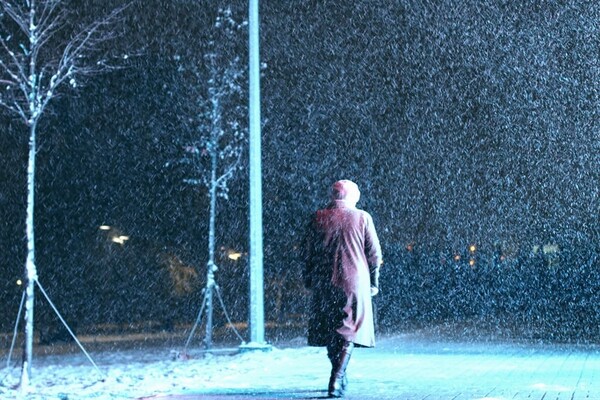 23 ноября Киев засыпало первым снегом 