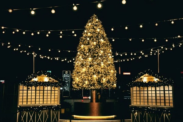 Чем сможет удивить новогодний Киев в 2021-2022 (фото)