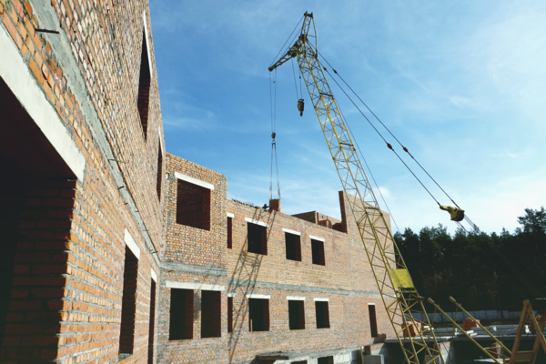 В Киеве строят большой центр защиты животных с ветклиникой и приютами