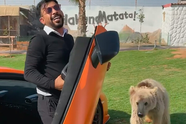 Арабский шейх прославился в TikTok благодаря милым видеороликам с дикими животными