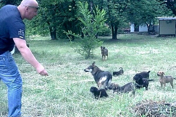  Киевский суд окончательно оправдал живодера Алексея Святогора