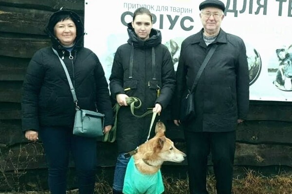 Пес, брошенный хозяйкой в парке Киева, нашел семью 