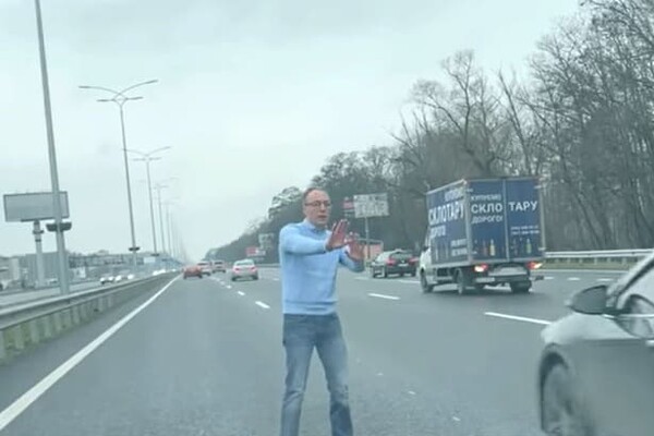 Под Киевом водитель остановился на трассе, чтобы собаки перешли безопасно дорогу 