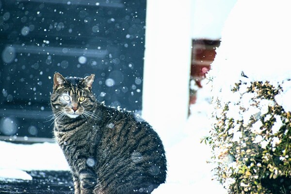 Прогноз погоды в Киеве на выходные 18 и 19 декабря 2021 года
