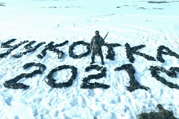 Депутат Крамаренко массово расстрел гусей 