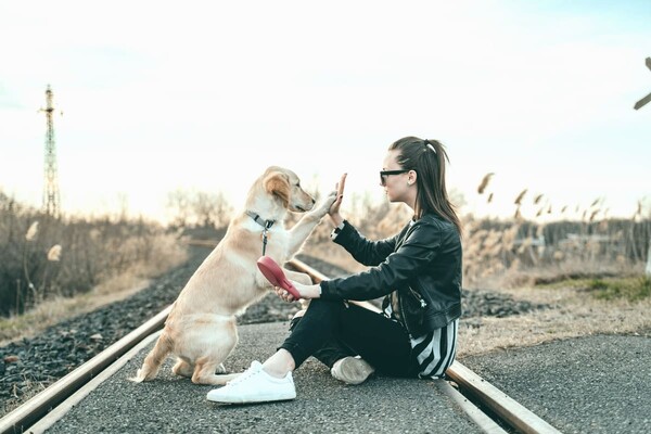 На Троещине в Киеве открыли новую площадку для выгула и дрессировки собак