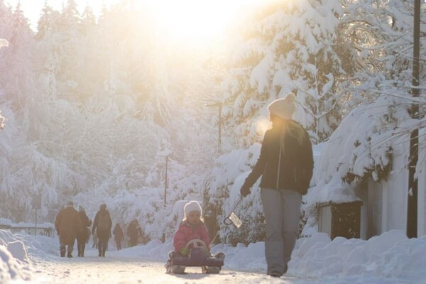 В начале января 2022 в Киеве зафиксировали температурный рекорд 