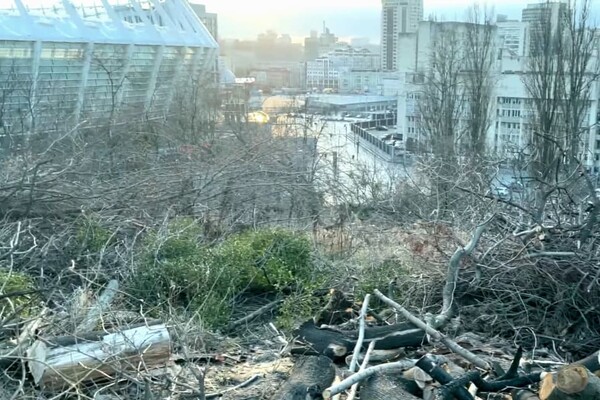 На Черепановой горе возле 