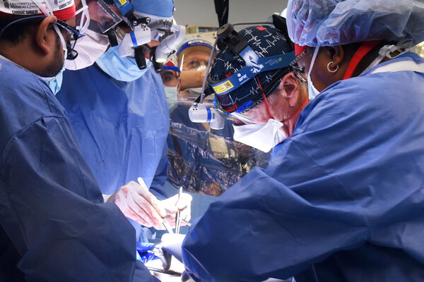 В США человеку впервые в истории успешно пересадили свиное сердце
